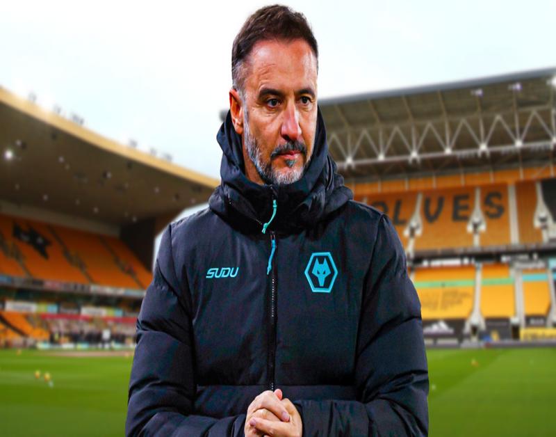 HLV Wolves Vitor Pereira