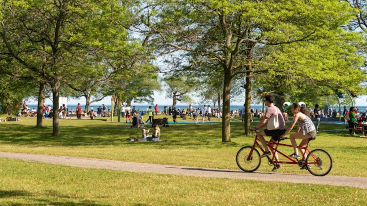 People riding a tandem bike through a busy green park